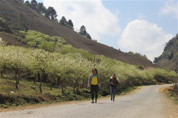 เรียกเงินทุนเข้าพัฒนาเขตท่องเที่ยวแห่งชาติหมกโจว